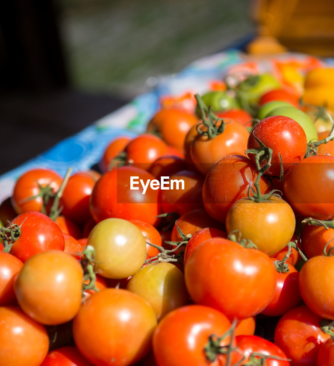 Close-up of tomatoes in market