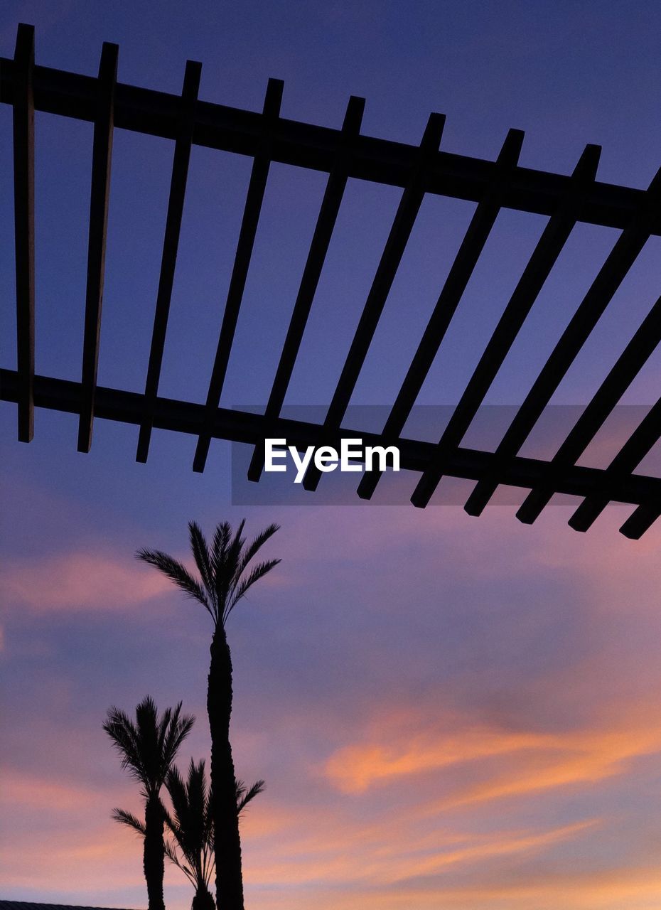 LOW ANGLE VIEW OF SILHOUETTE TREES AGAINST SKY AT SUNSET