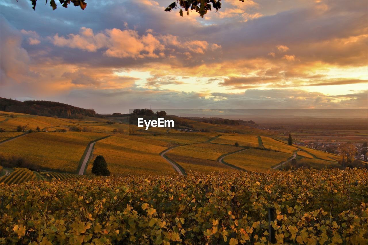 SCENIC VIEW OF FARMS AGAINST SKY DURING SUNSET