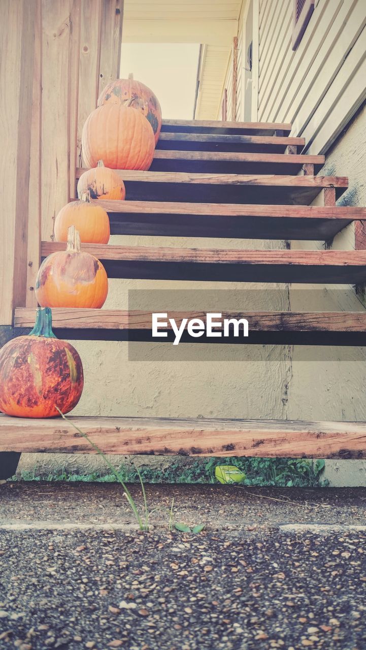 Low angle view of pumpkins on steps during halloween