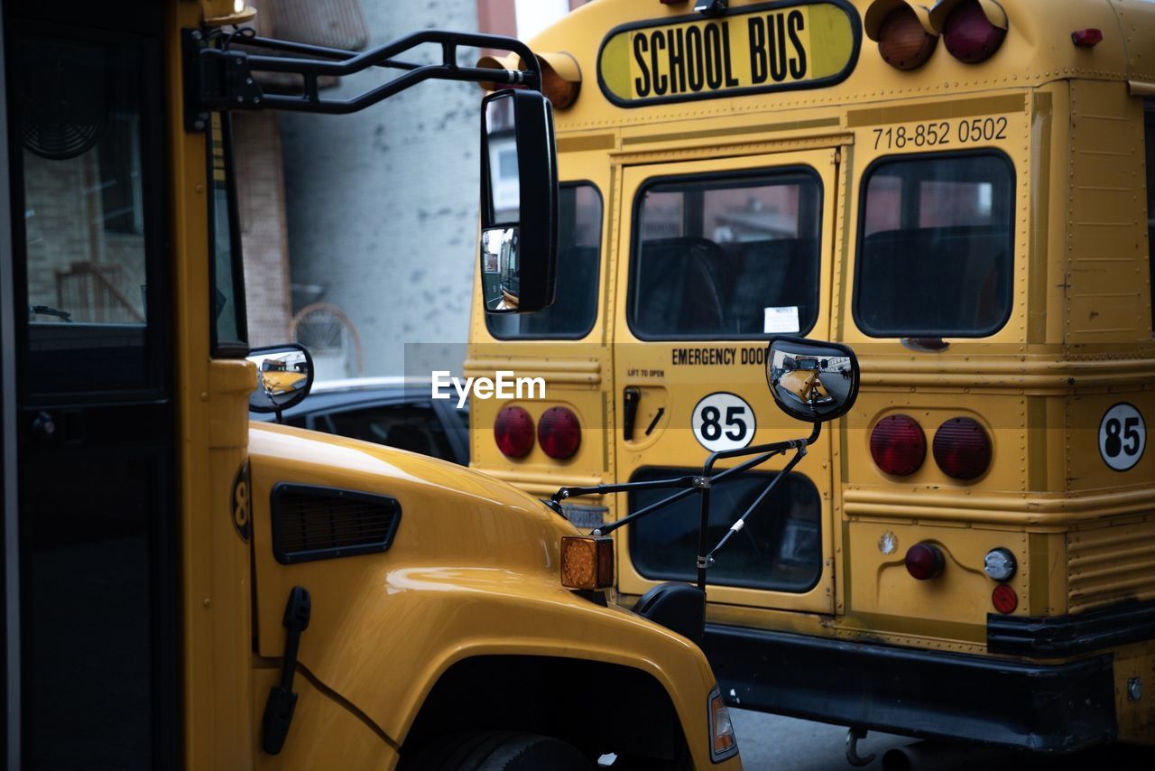 School buses on road