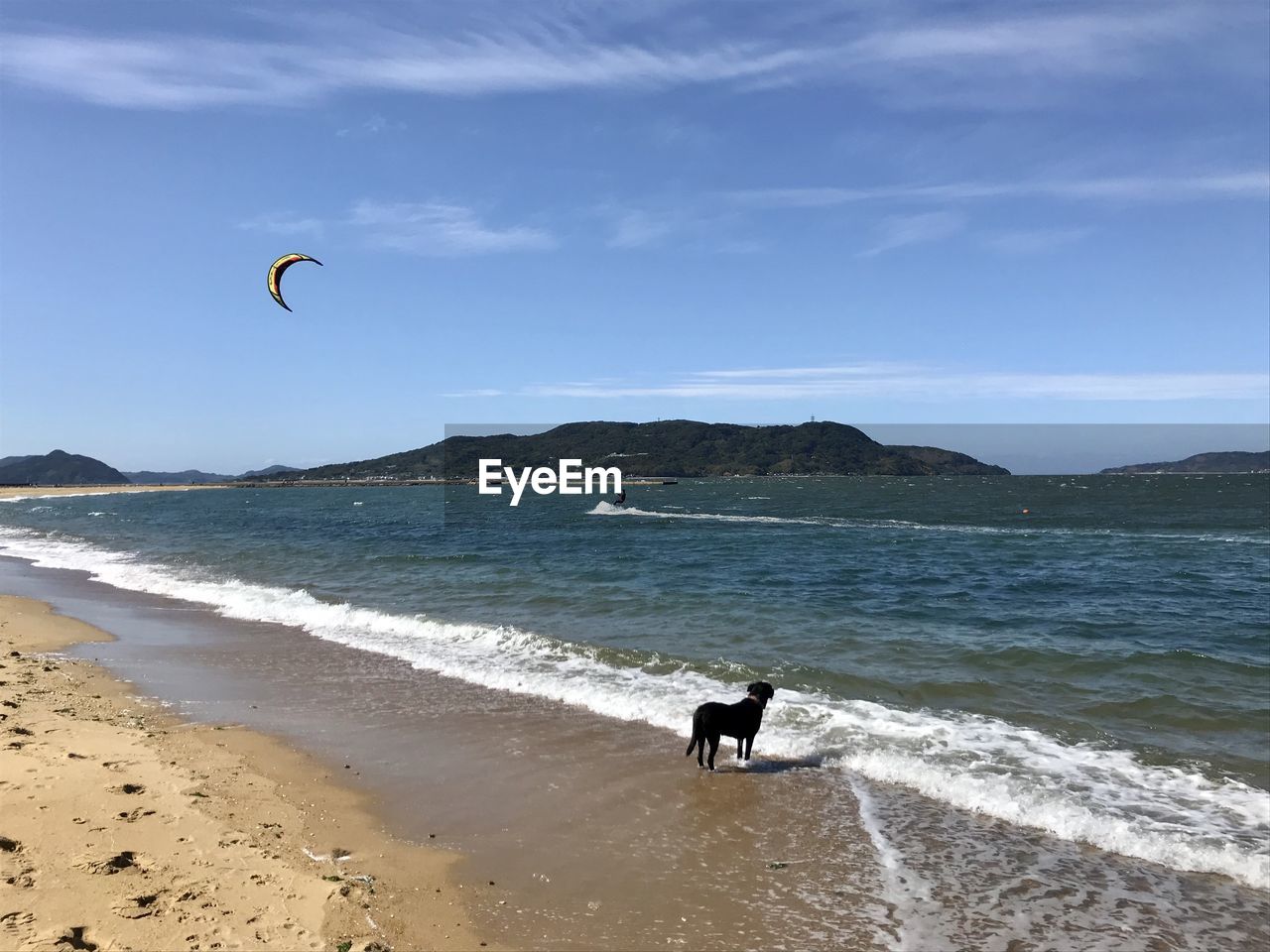 Scenic view of sea against sky with a dog