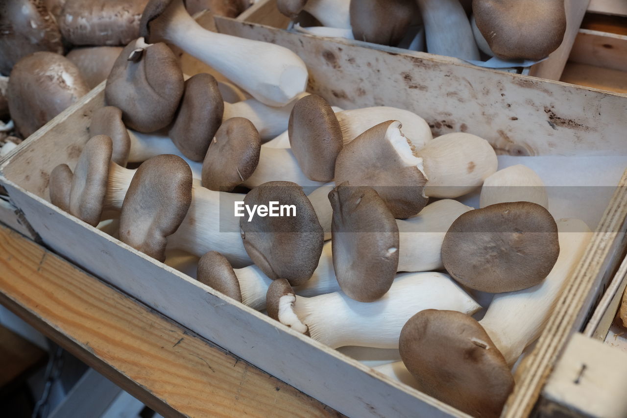 Close-up of edible mushrooms in container on table