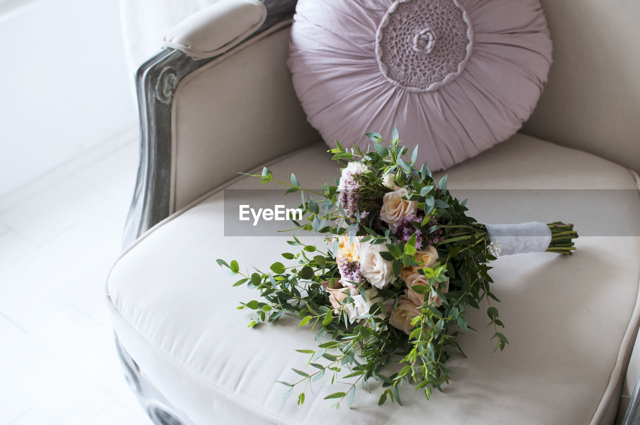 High angle view of flowering plant on table