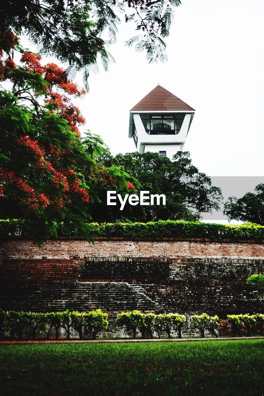 LOW ANGLE VIEW OF TREES AND BUILDING AGAINST SKY
