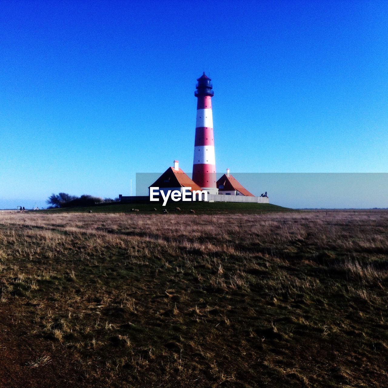 Lighthouse on field against clear blue sky