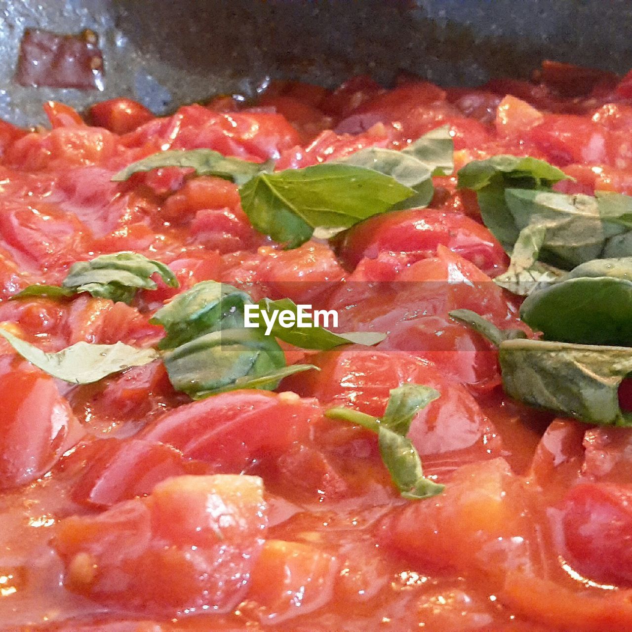 CLOSE-UP OF TOMATOES