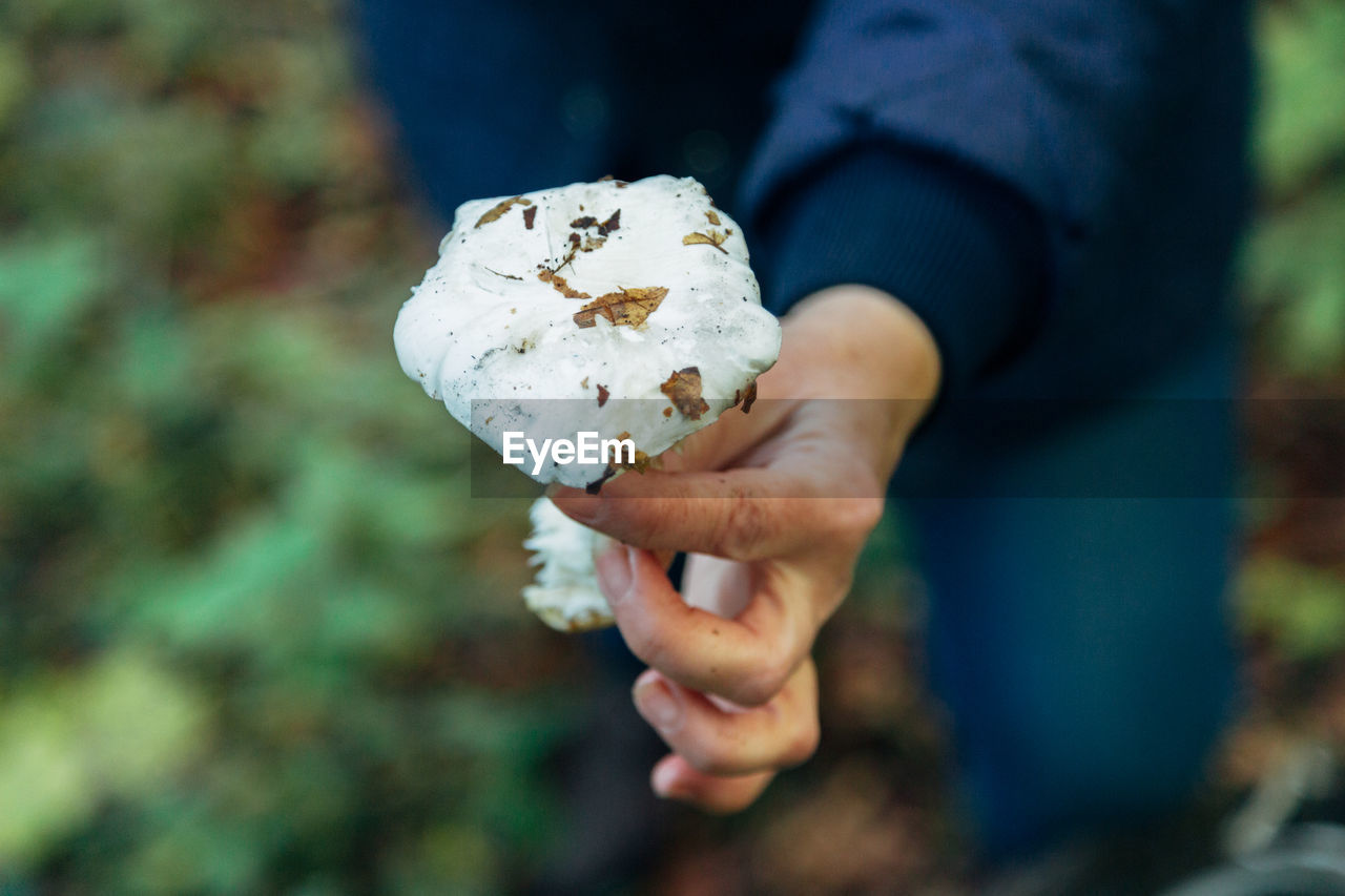 CLOSE-UP OF PERSON HOLDING ICE CREAM