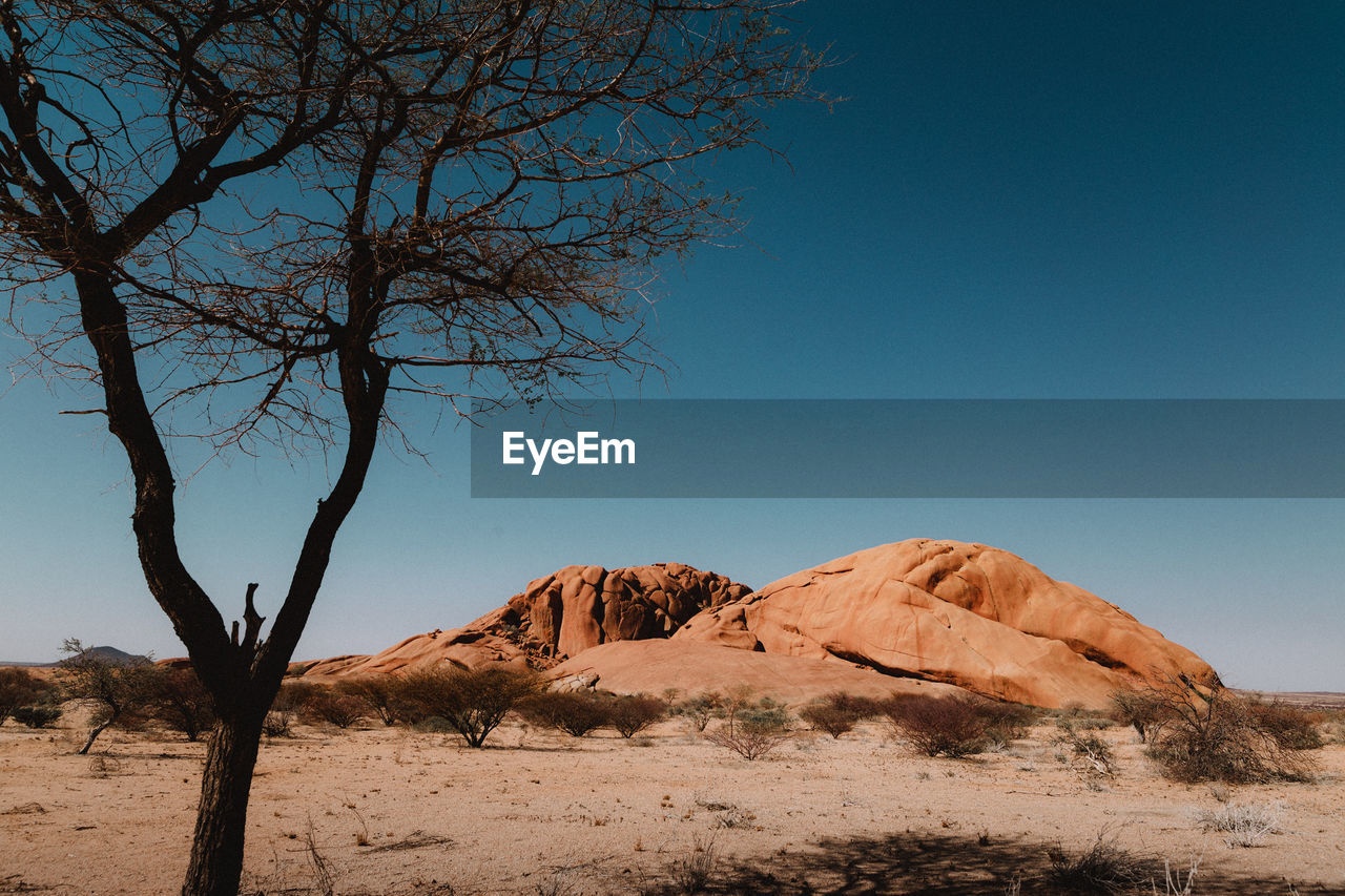 SCENIC VIEW OF LANDSCAPE AGAINST CLEAR SKY