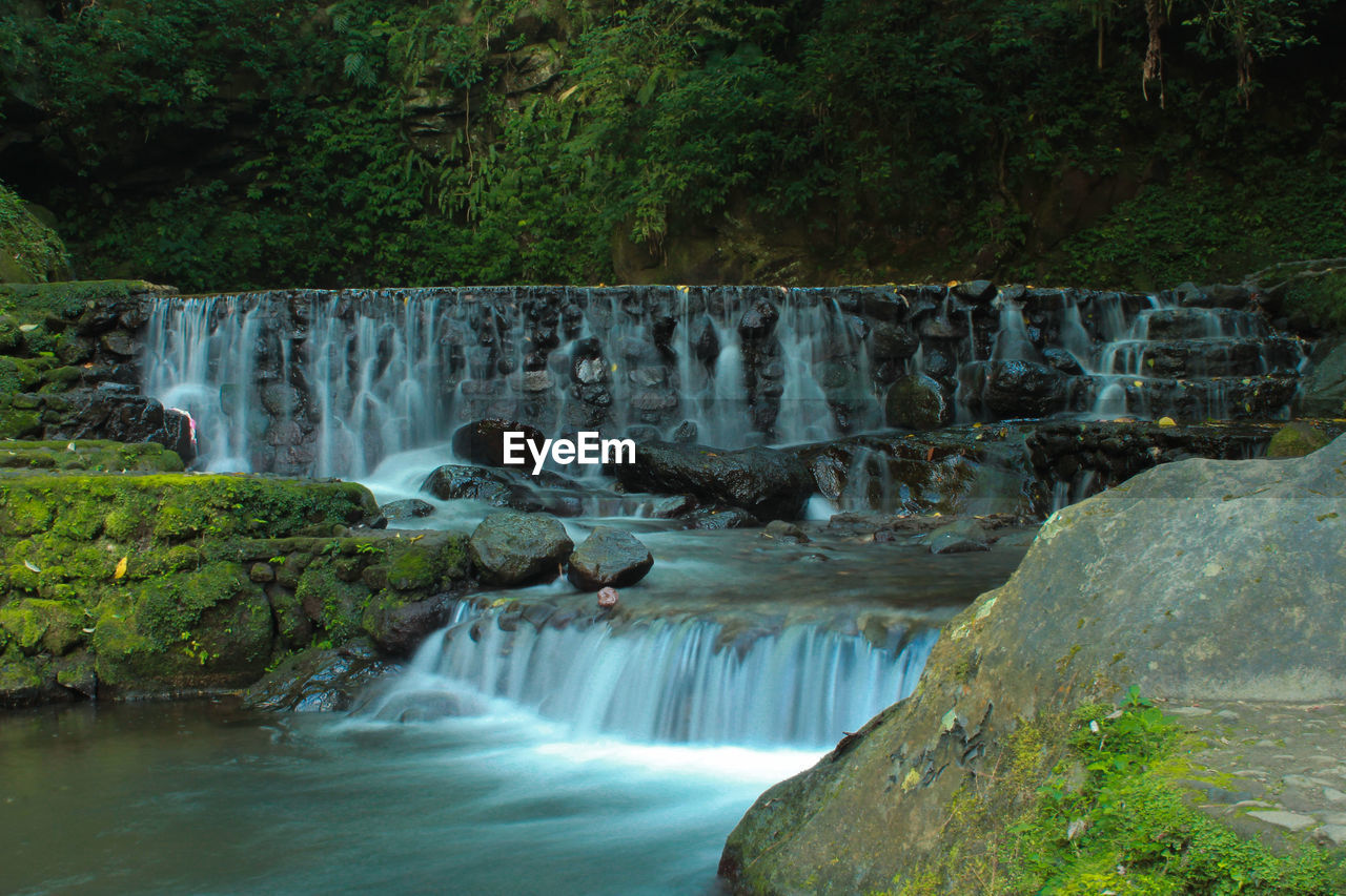 Scenic view of waterfall in forest