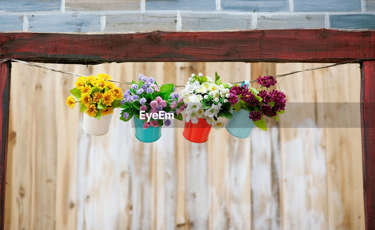 Close-up of flower pot