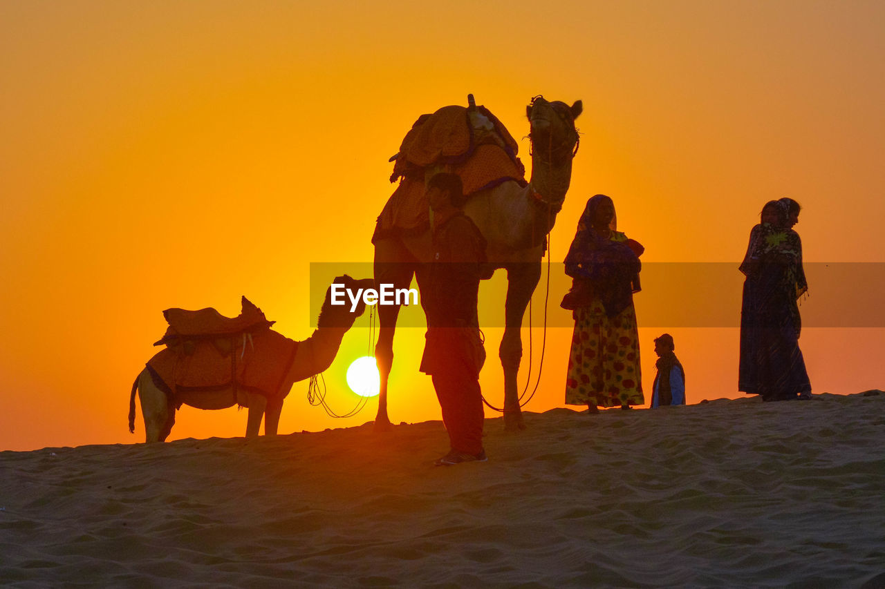 Silhouette of people and camels on desert against orange sunset sky