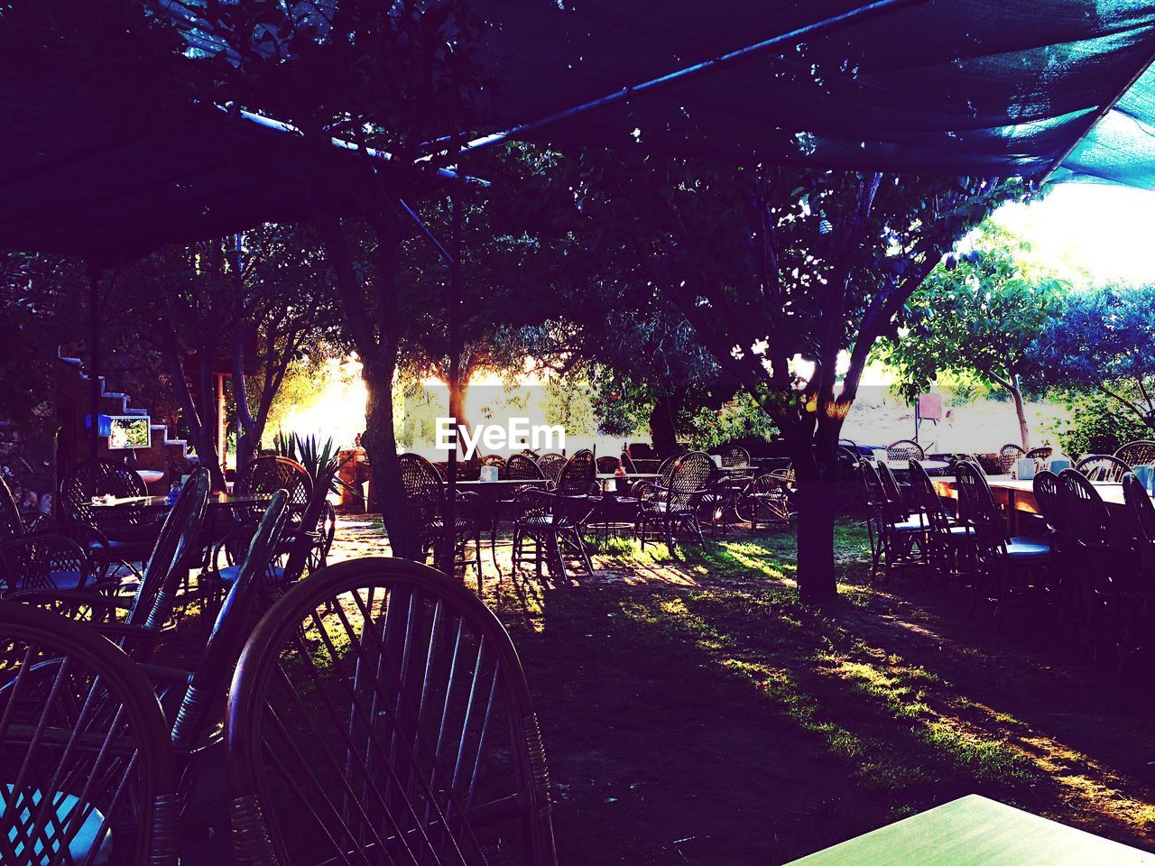 Chairs arranged in cafe