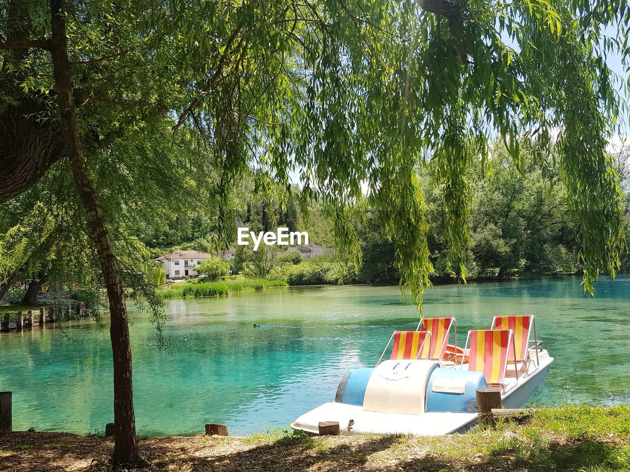 Scenic view of lake against trees