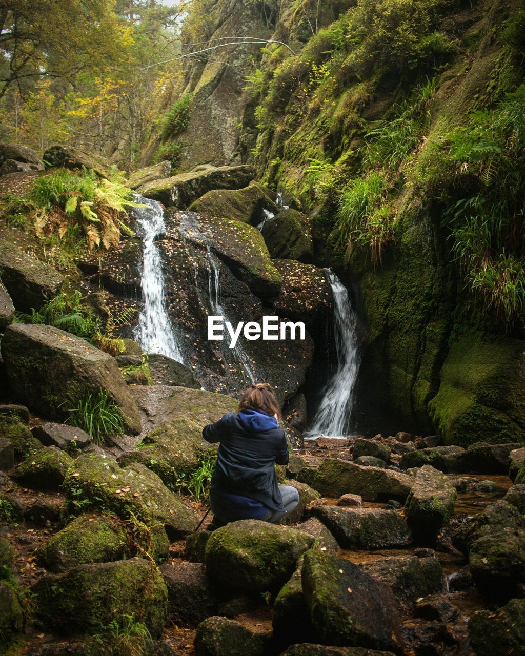 Rear view of woman photographing waterfall in forest