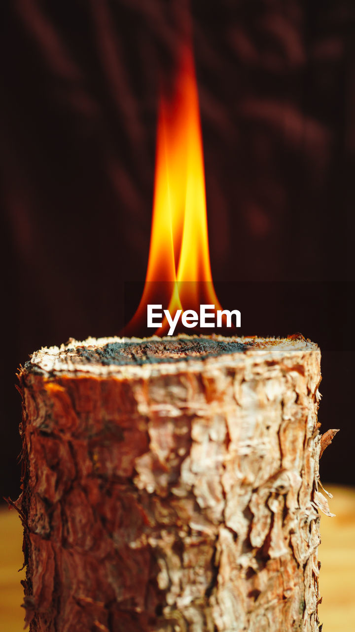 Close-up of burning flame on wood