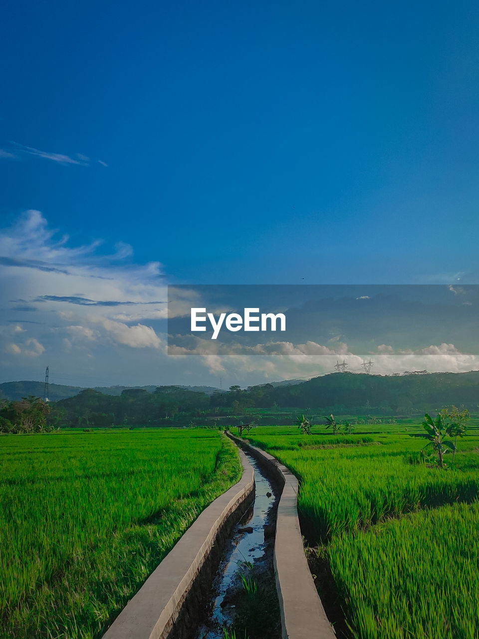 SCENIC VIEW OF FARM AGAINST SKY