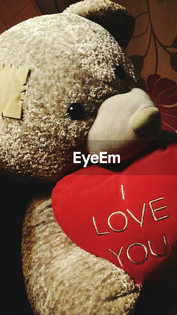 Close-up of teddy bear with i love you text