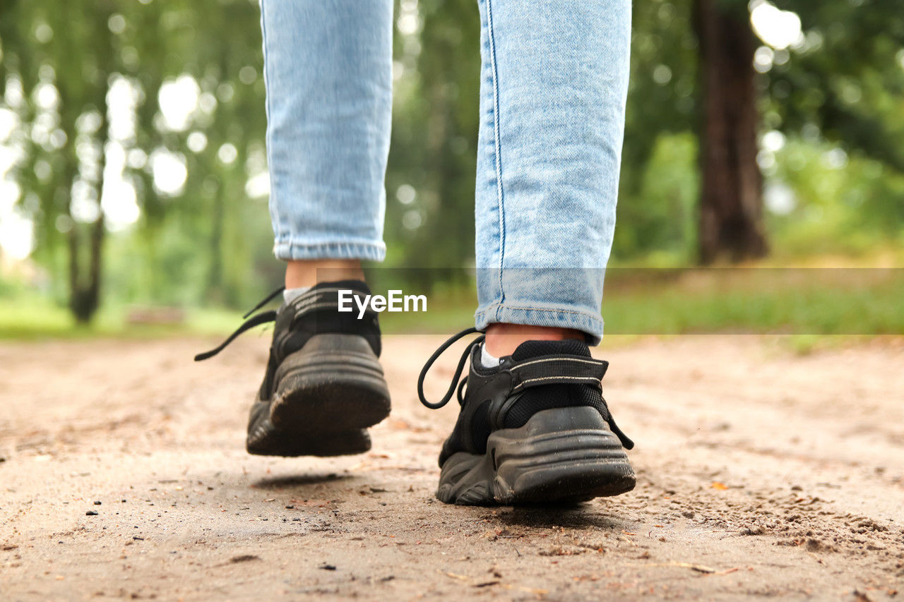 Fashion designer women's sneaker with high sole. female sports black shoe on forest background. 