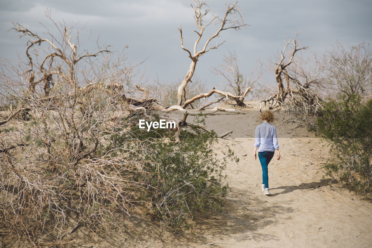 Rear view of woman walking on bare tree