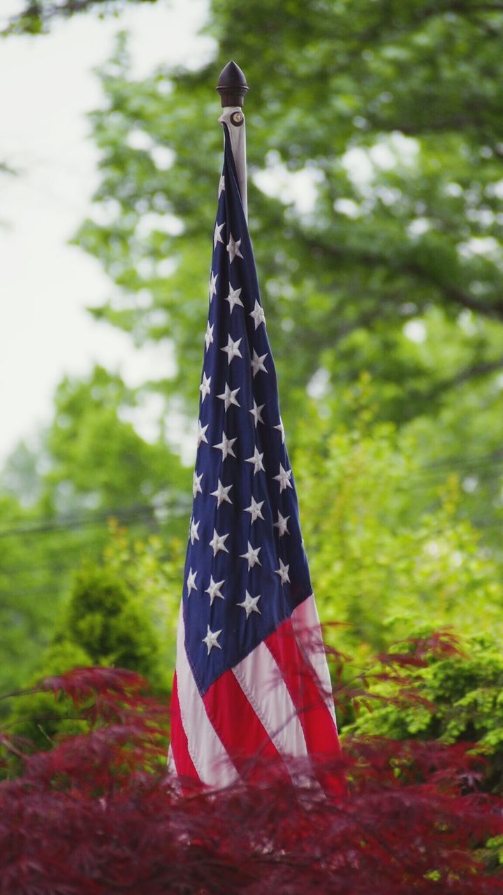 American flag against trees