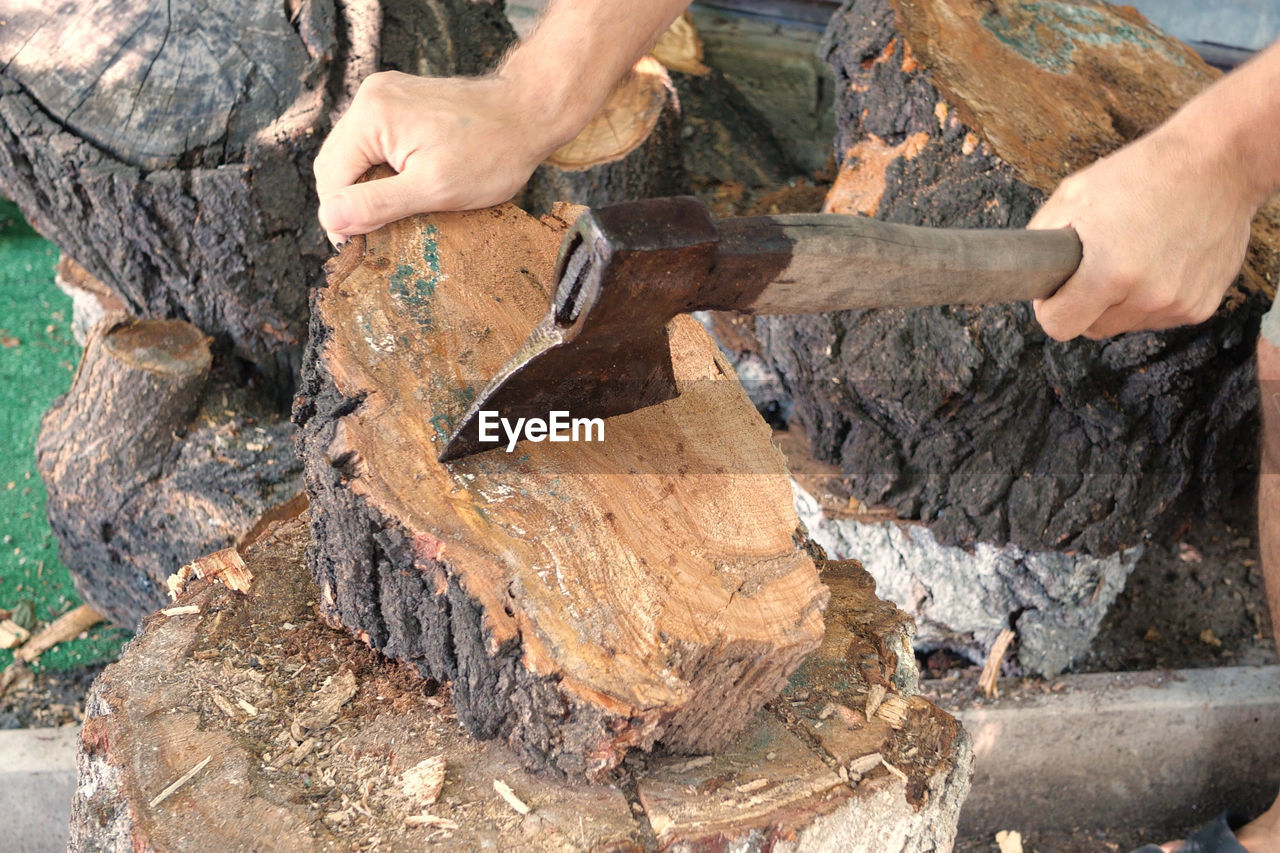 soil, wood, hand, tree, nature, one person, day, occupation, outdoors, adult, timber, working, men, geology, trunk, high angle view, log, tree trunk, work tool, close-up, plant, holding, skill