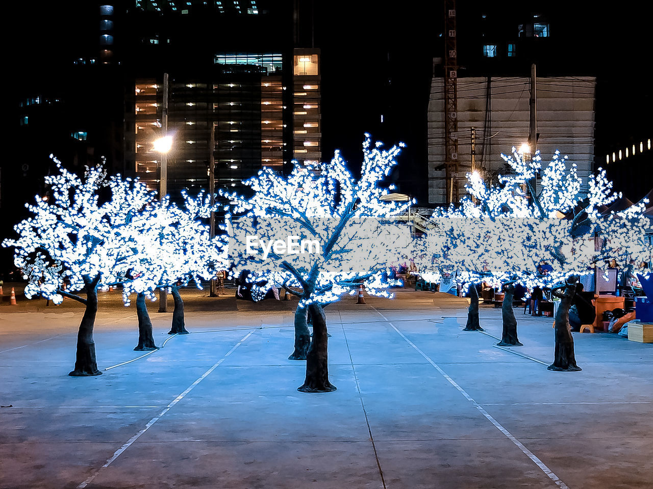 CHRISTMAS TREE AT NIGHT