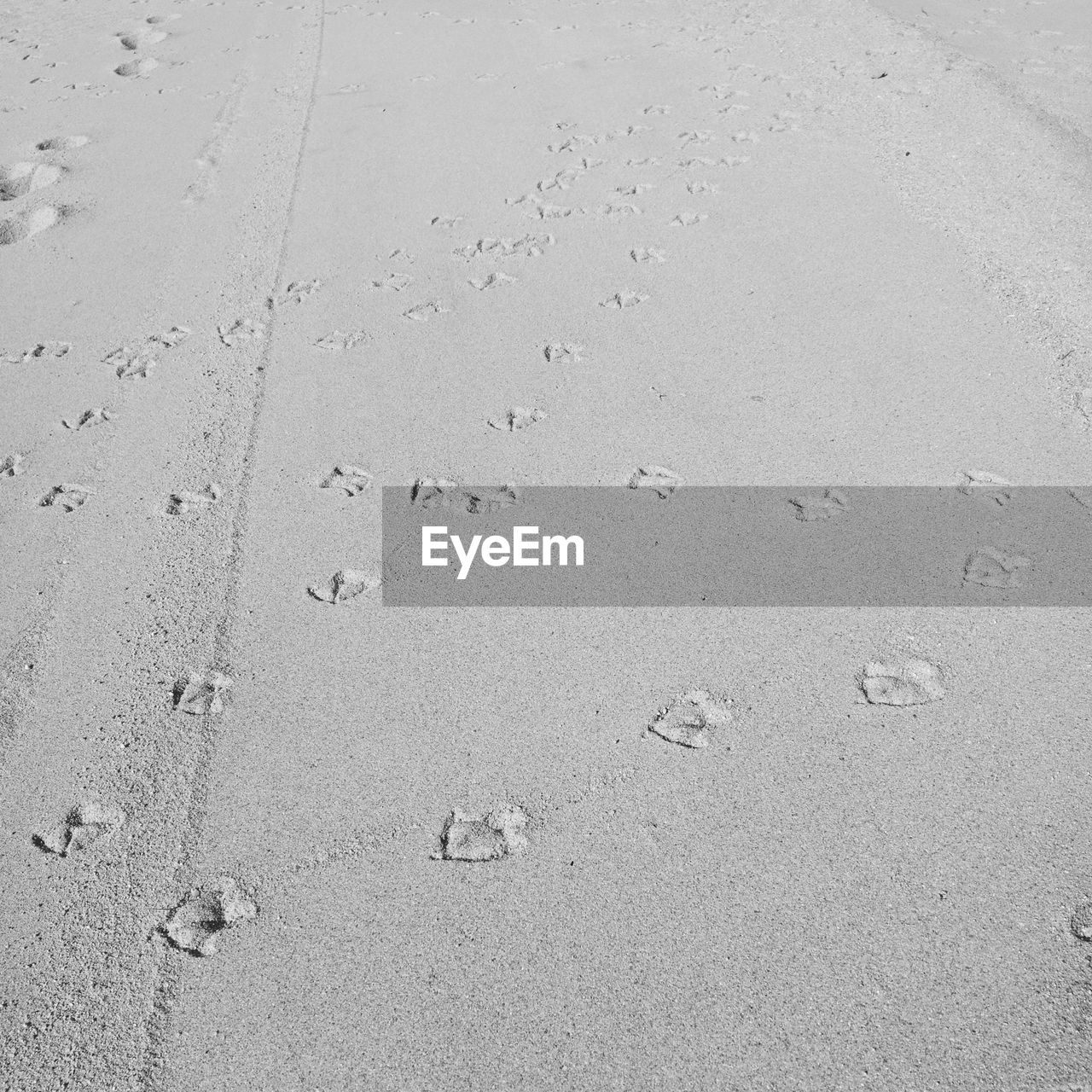 HIGH ANGLE VIEW OF FOOTPRINT ON SAND