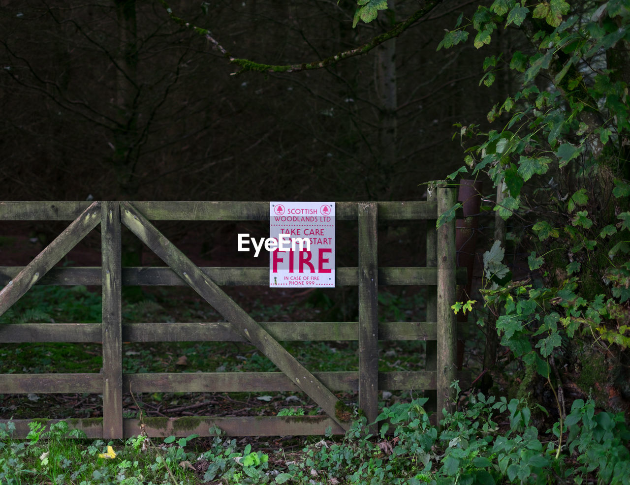 Information sign on fence in forest