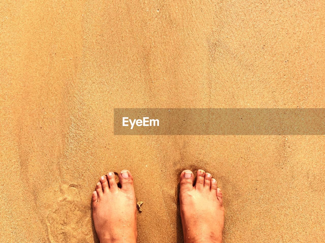 Low section of person on sand at beach