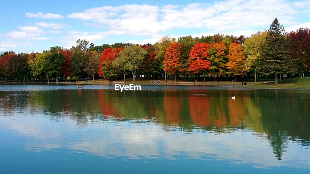 Scenic view of trees by lake against sky