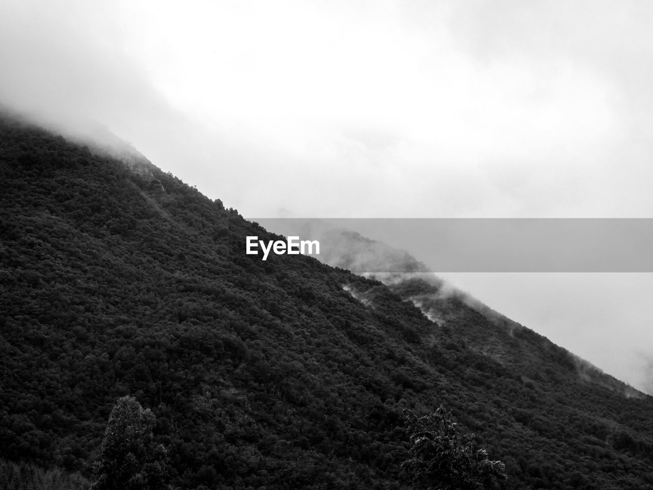 Cloudy mountain side with forest