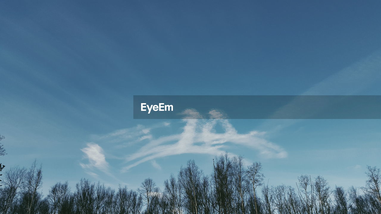 Low angle view of bare trees against sky