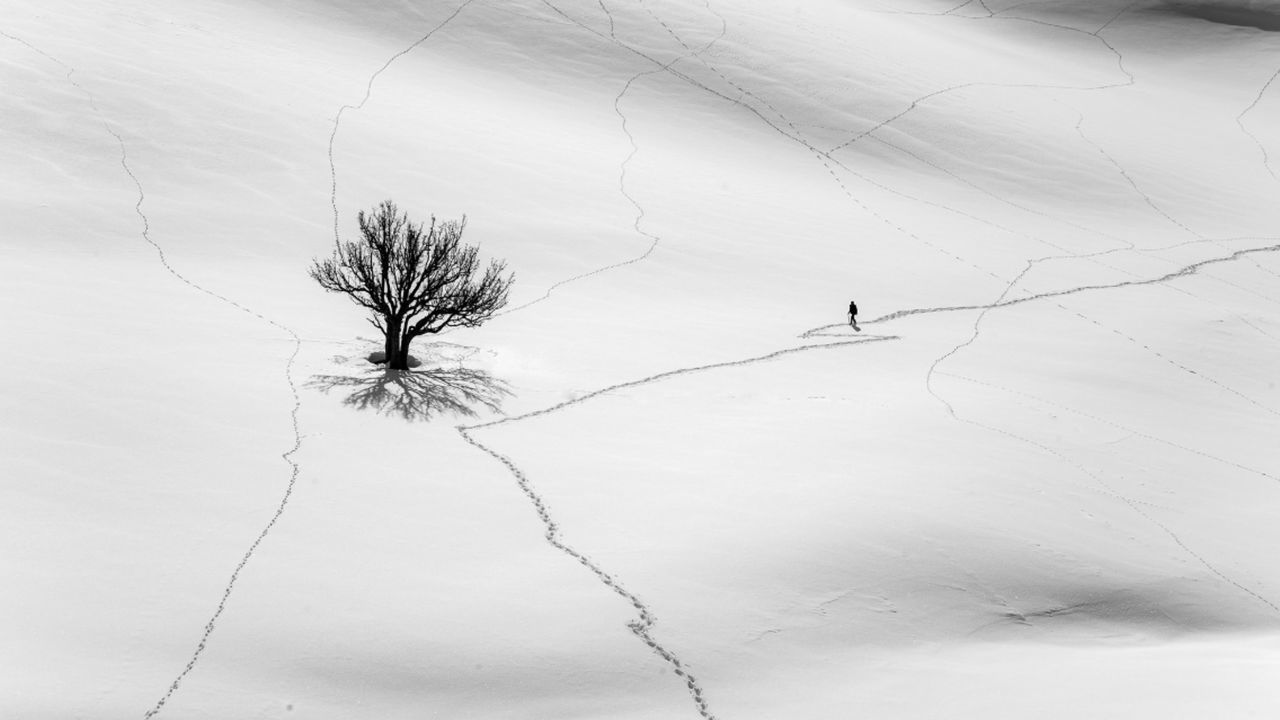 SILHOUETTE BARE TREE ON SNOW FIELD