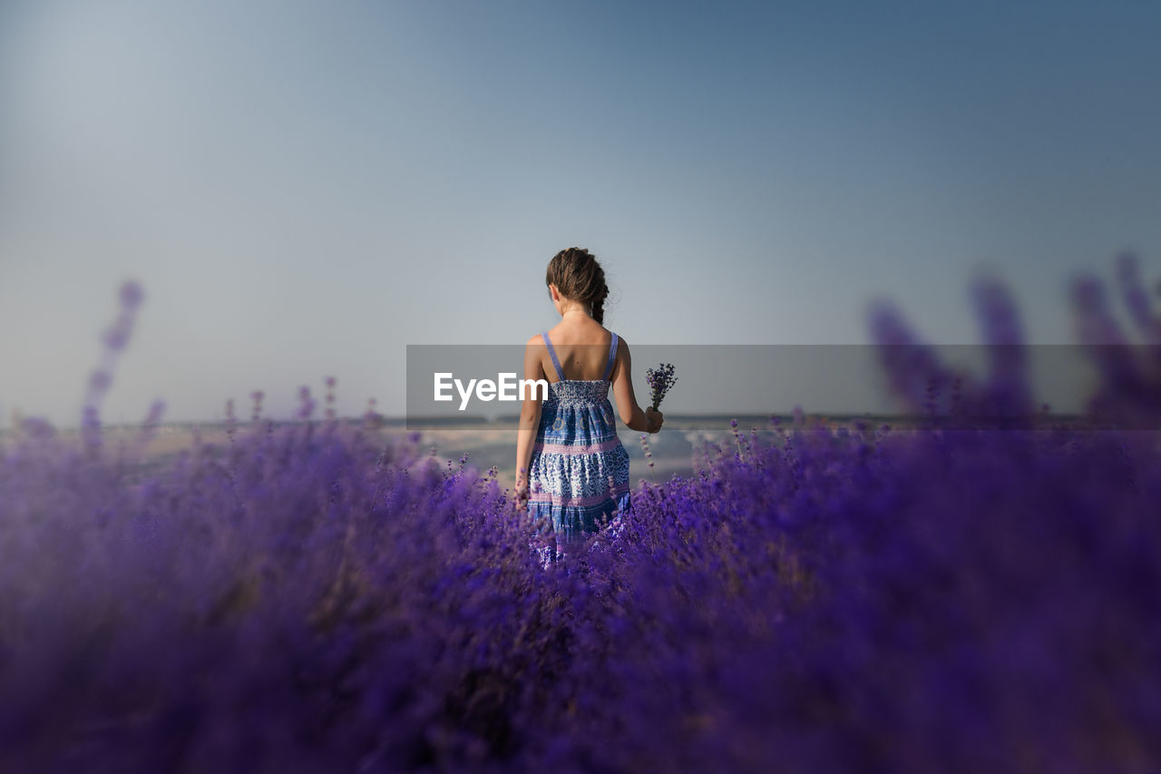 WOMAN STANDING ON FIELD WITH PURPLE FLOWERS