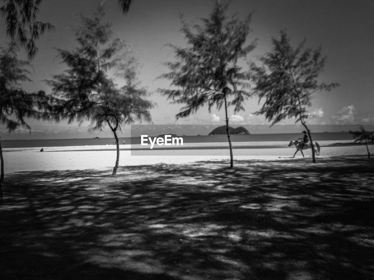 SILHOUETTE OF MAN ON BEACH