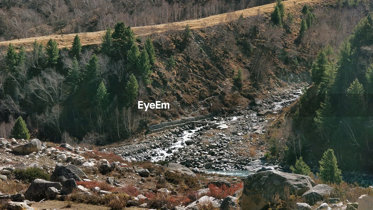 HIGH ANGLE VIEW OF STREAM FLOWING THROUGH ROCKS IN SUNLIGHT