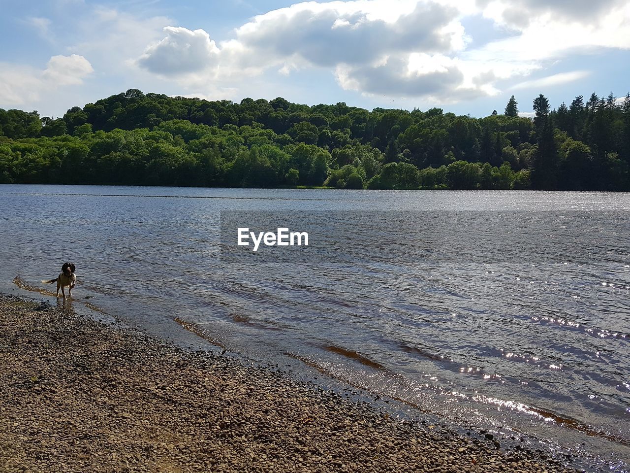 SCENIC VIEW OF LAKE