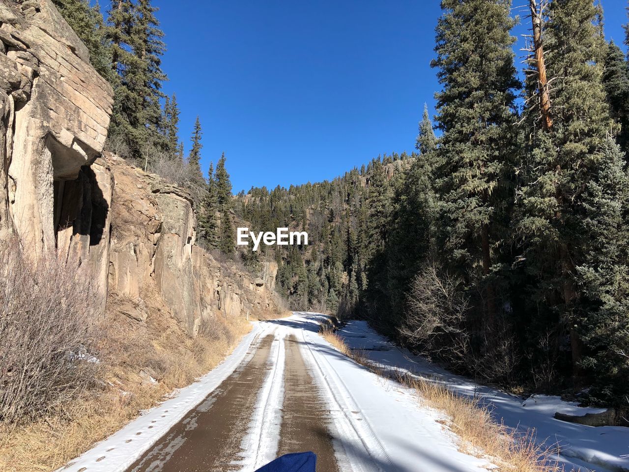 Road amidst trees against clear sky