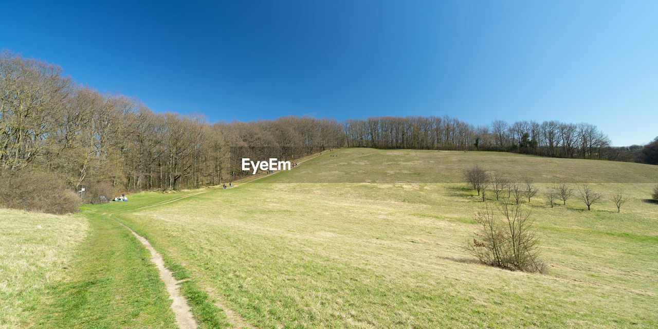 Scenic view of field against clear blue sky