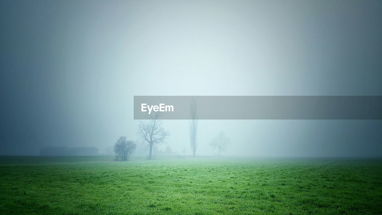 Idyllic view of grassy landscape against sky during foggy weather