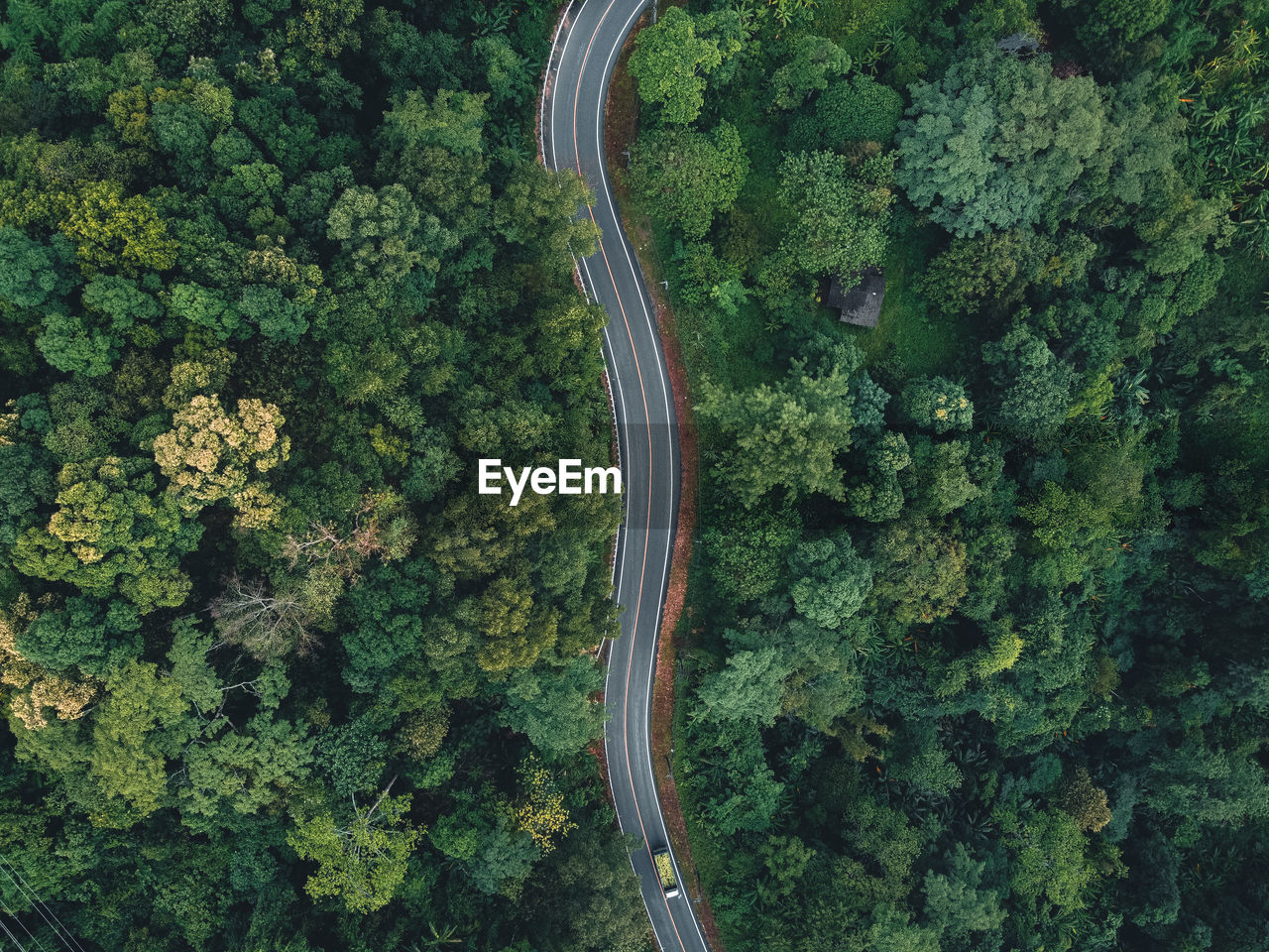 High angle view of road amidst trees in forest