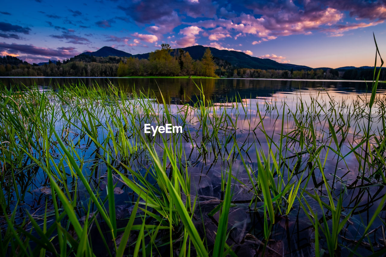 Scenic view of lake against sky