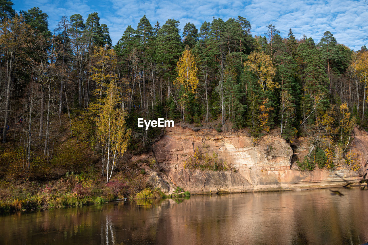 Devils rock and cave by the shores of the river gauja, surrounded by a autumn forest on a cloudy day