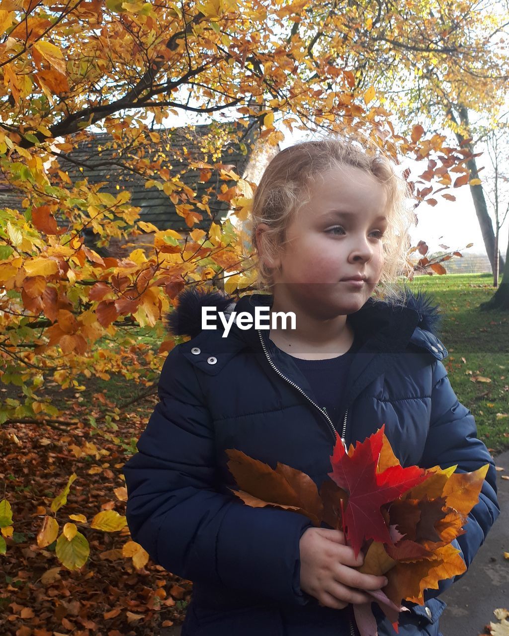 Girl looking away while holding autumn leaves in park