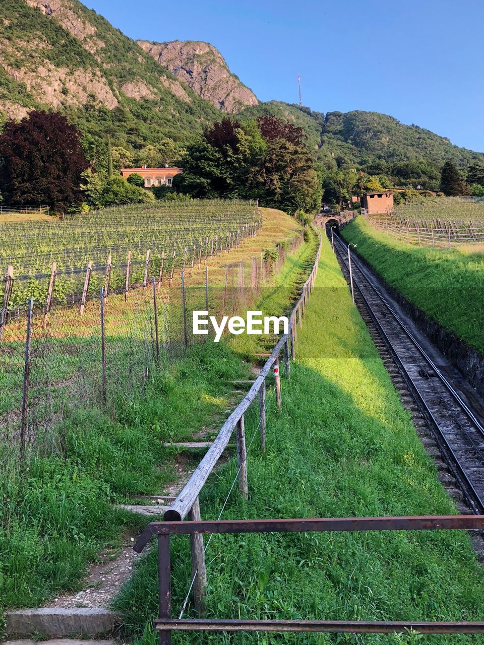 SCENIC VIEW OF FARM AGAINST SKY