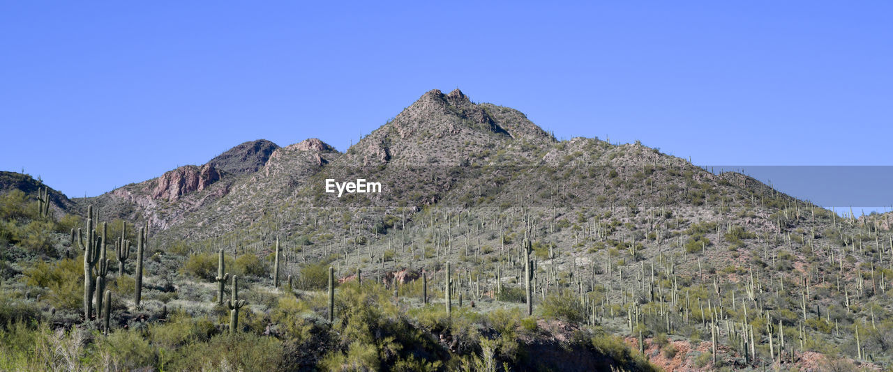 Desert hills panorama landscape