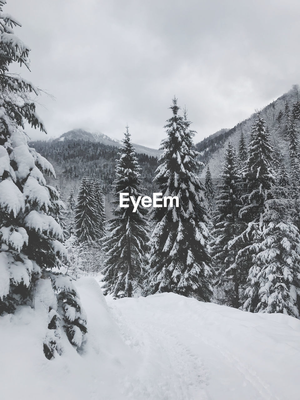 Panoramic view of snow covered landscape against sky