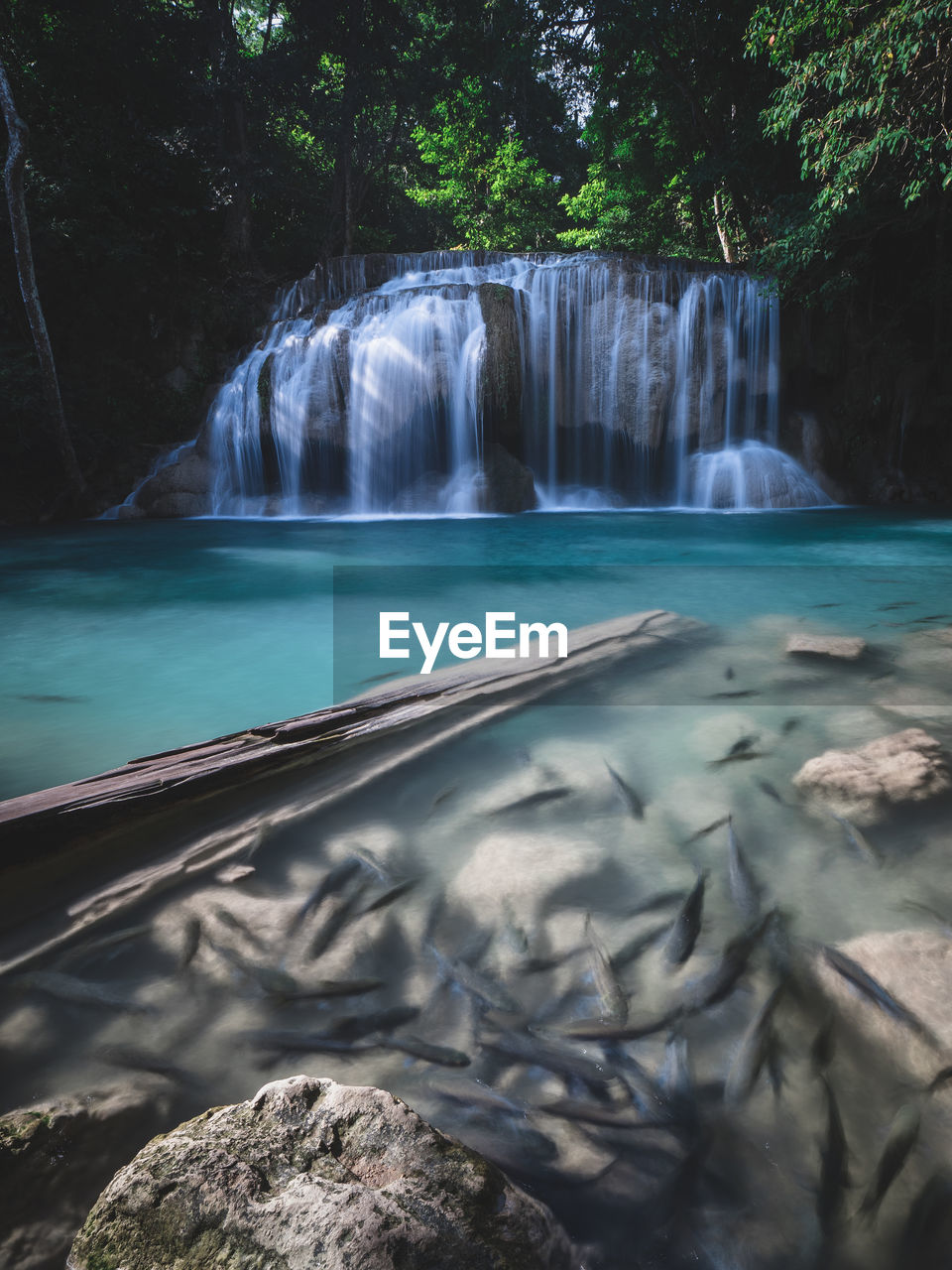 SCENIC VIEW OF WATERFALL