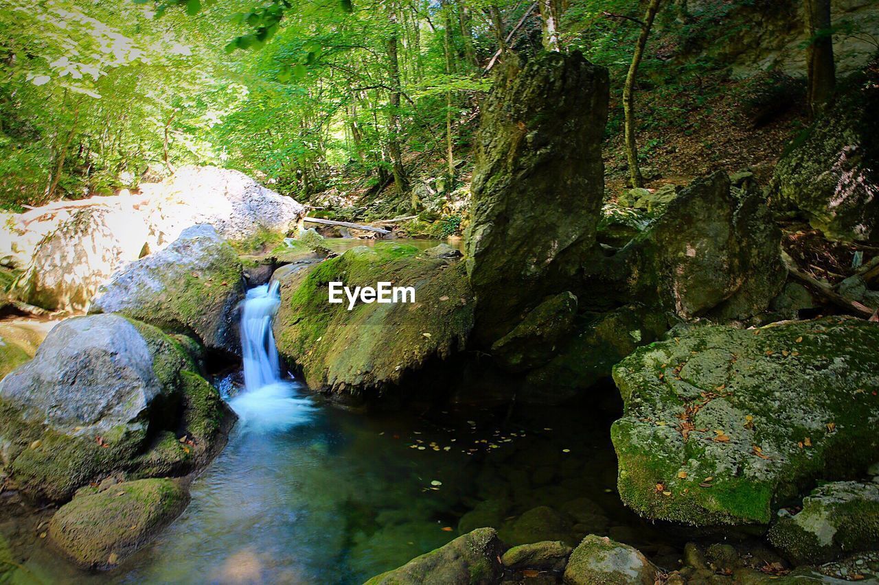 Beautiful stream by rocks covered in moss in forest